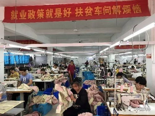 鳳陽一年輕人辦的這個廠,產(chǎn)品出口美國 德國 意大利.....