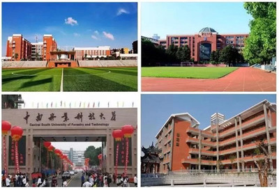 雨花亭正芯大盤 擁醇熟完美配套