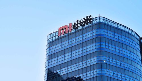 小米集團王嵋 未來得屌絲者得天下,超過蘋果后飄了 耗子尾汁