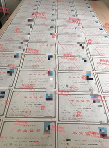 圖 成都龍泉驛正規(guī)學歷自考成考網教電大專科本科專本套讀 成都學歷教育