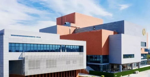 2022聯(lián)考你要考多少分才能參加校考 各大藝術院校 校考初選線