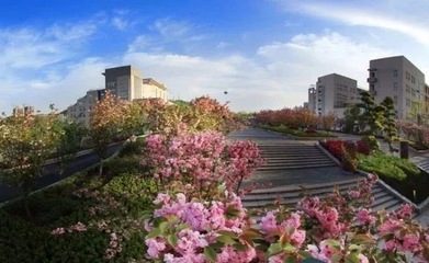 湖北一地級(jí)市2所院校合并 原校區(qū)劃撥給一所小學(xué)