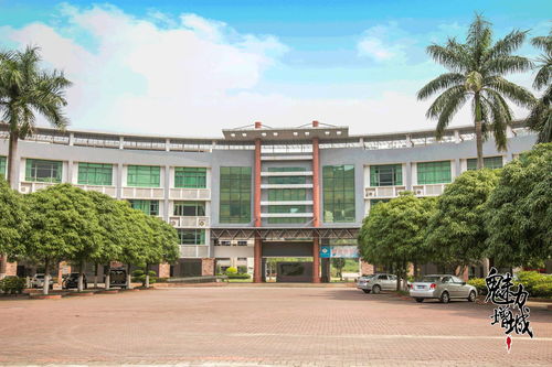 再見(jiàn)，增城電大