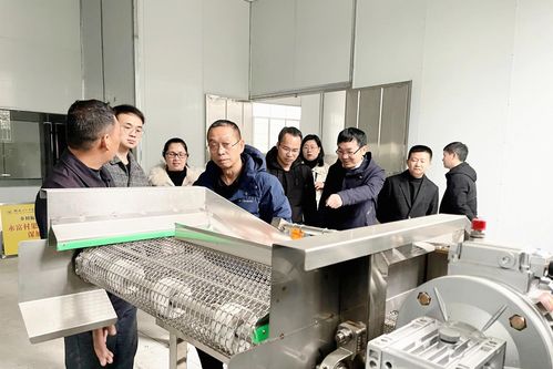 鄉(xiāng)村振興，材料先行——桂林理工大學(xué)材料科學(xué)與工程學(xué)院的使命與擔(dān)當(dāng)